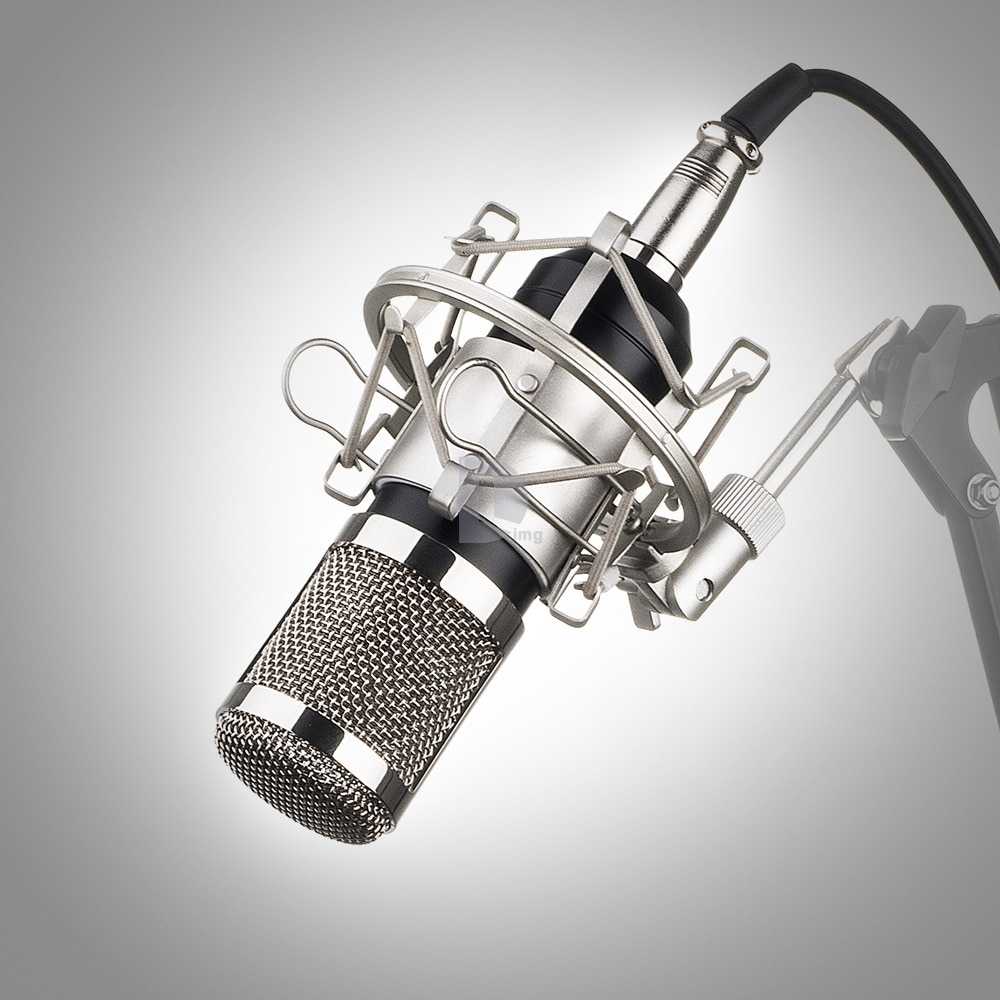 Как выбрать микрофон: рейтинг топ-15 лучших микрофонов на 2021 год