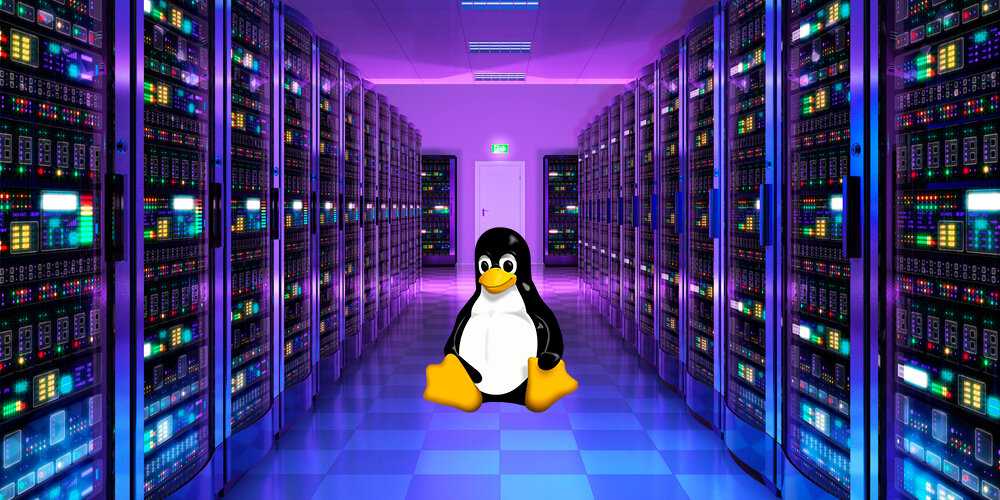 Linux vs windows servers - какой дистрибутив выбрать — компания freehost