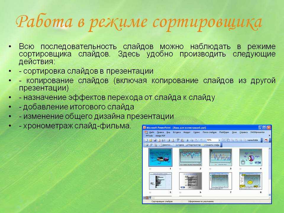 Как пронумеровать слайды в powerpoint