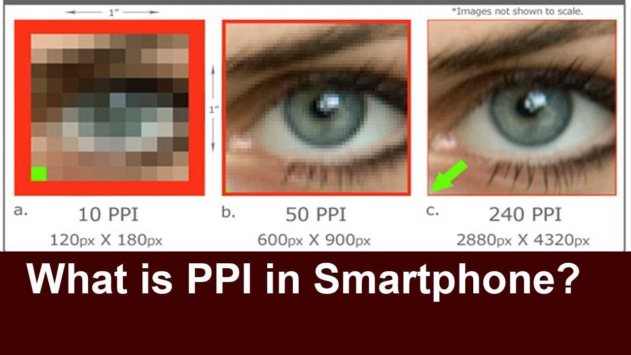 Что такое пиксели, разрешение изображения и плотность пикселей – photo7.ru - сайт о фотографии