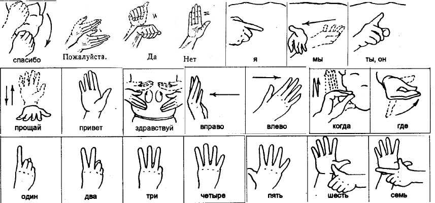 «я выучил жестовый язык»  как он помогает мне теперь в повседневной жизни
