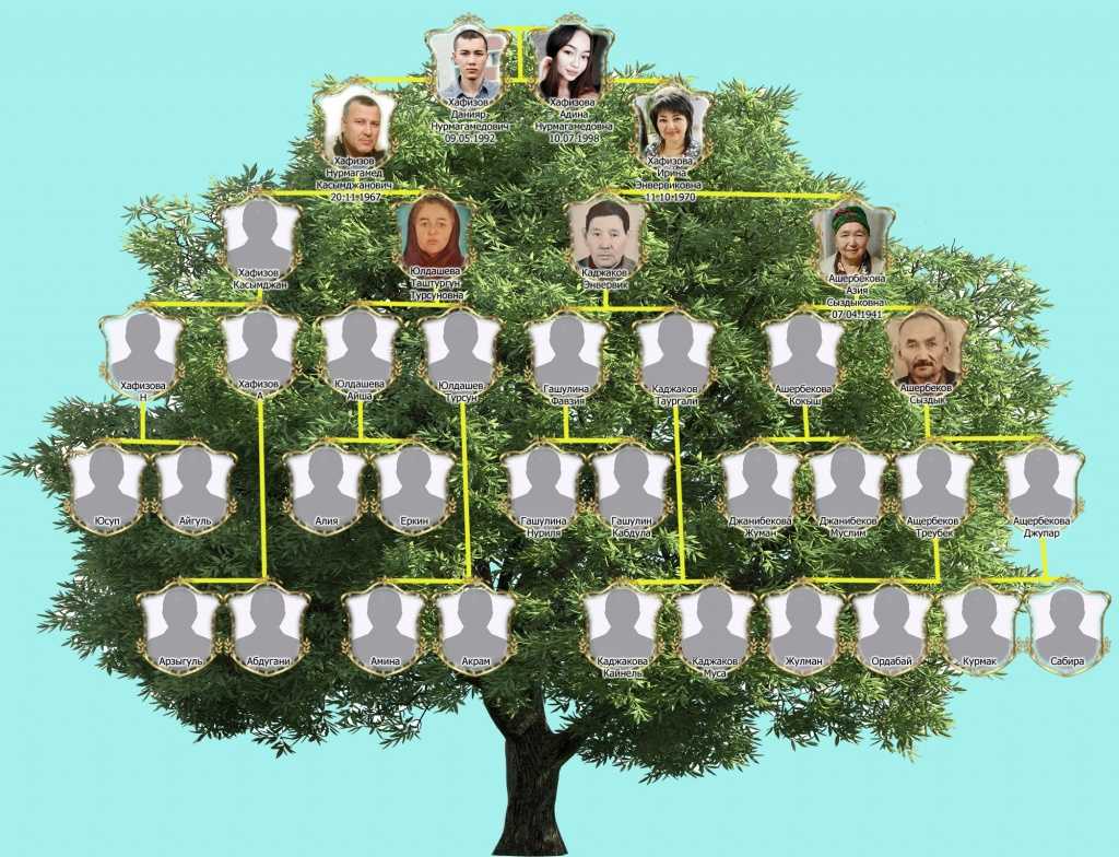 Генеалогическое древо: как почувствовать себя детективом и узнать свои корни - блог challe.ng