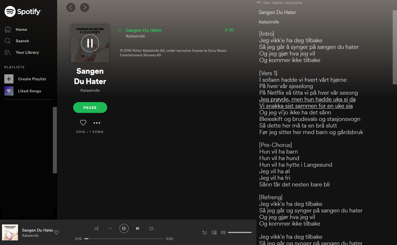 The spotify web player: a look at the pros and cons