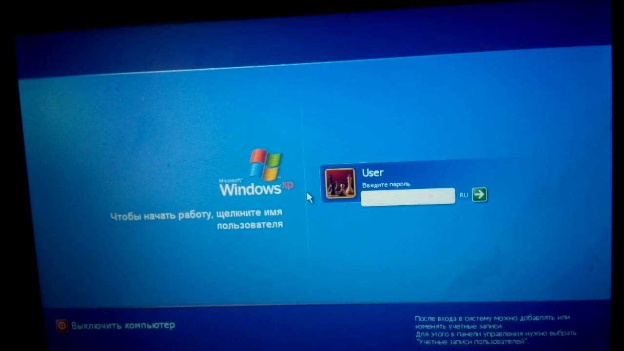 Как обойти пароль входа. Виндовс для взлома ПК. Обойти пароль на Windows XP.